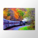 Kara Tren ve Renkli Orman