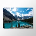 Göl ve Çam Ağaçları