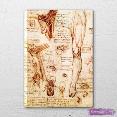 leonardo-da-vinci-anatomy-kanvas-tablo-1.jpg Anatomi - Görsel 1
