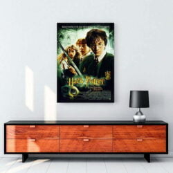 Harry Potter ve Sırlar Odası Kanvas Tablo