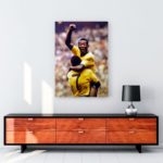 Pelé tablosu satın al