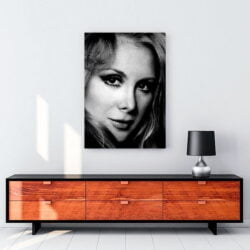 Filiz Akın tablosu satın al